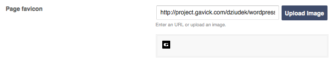 meetgaverntheme_branding_favicon