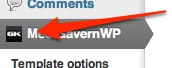 meetgavernwp_backend3