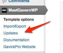 meetgavernwp_updates